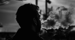 Beginners Guide: Vape Meaning and More - Fern Pine Distro