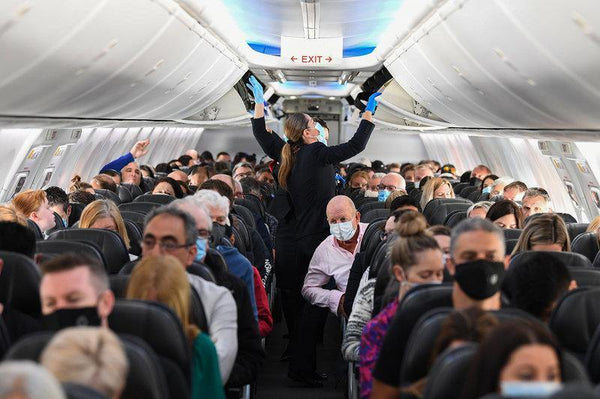 Do Masks On Plane Flights Really Cut Your Risk Of Catching COVID-19? - Fern Pine Distro